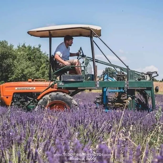 Studio A La Campagne Valensole
